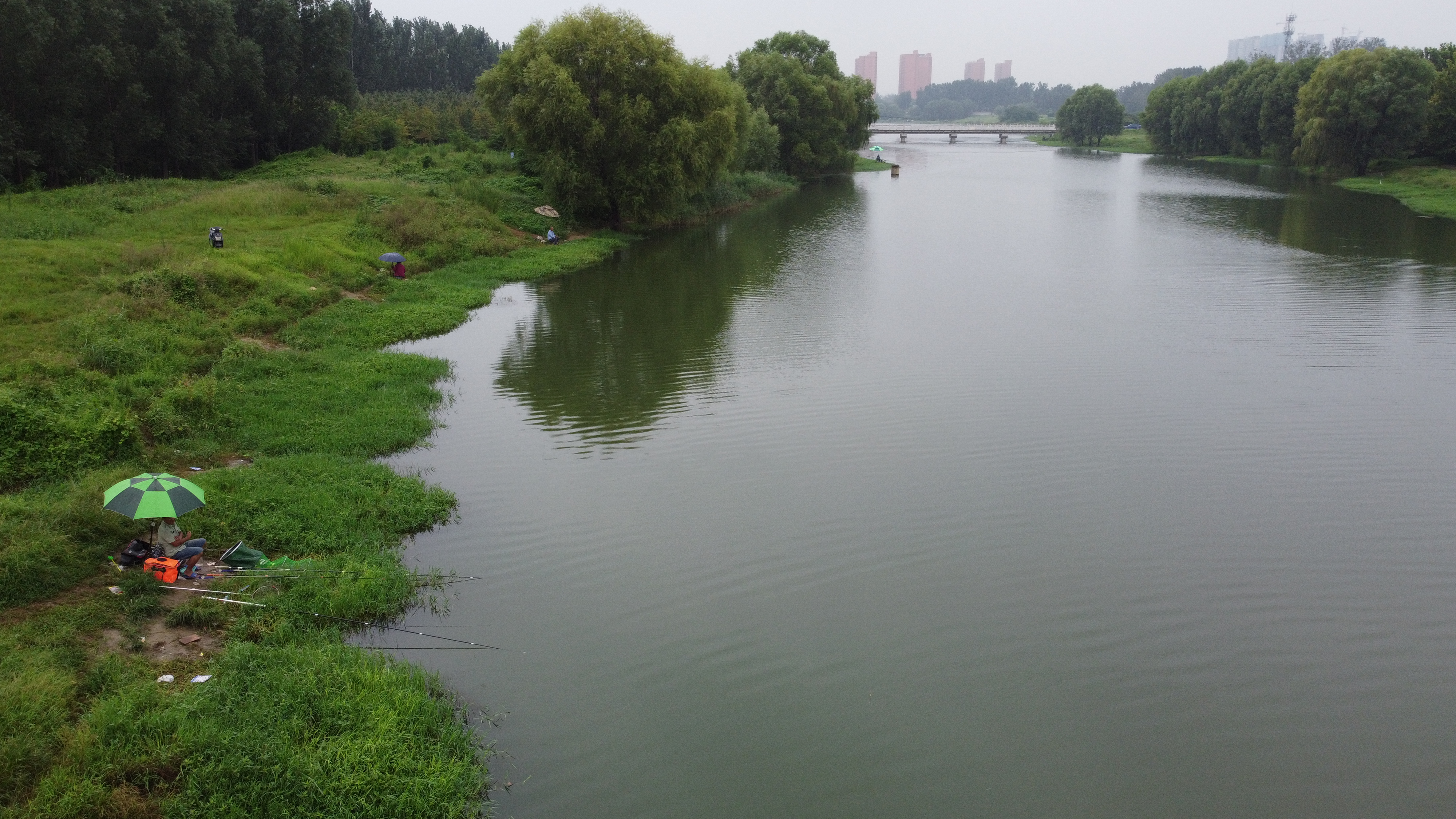 河南省贾鲁河尾水生态强化净化
