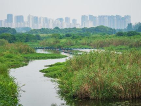 无锡出入湖河口水域生境改善