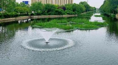 城市河道水循环净化综合调控技术